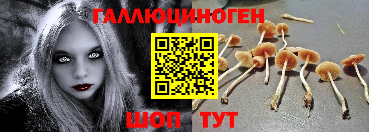Галлюциногенные грибы GOLDEN TEACHER Димитровград