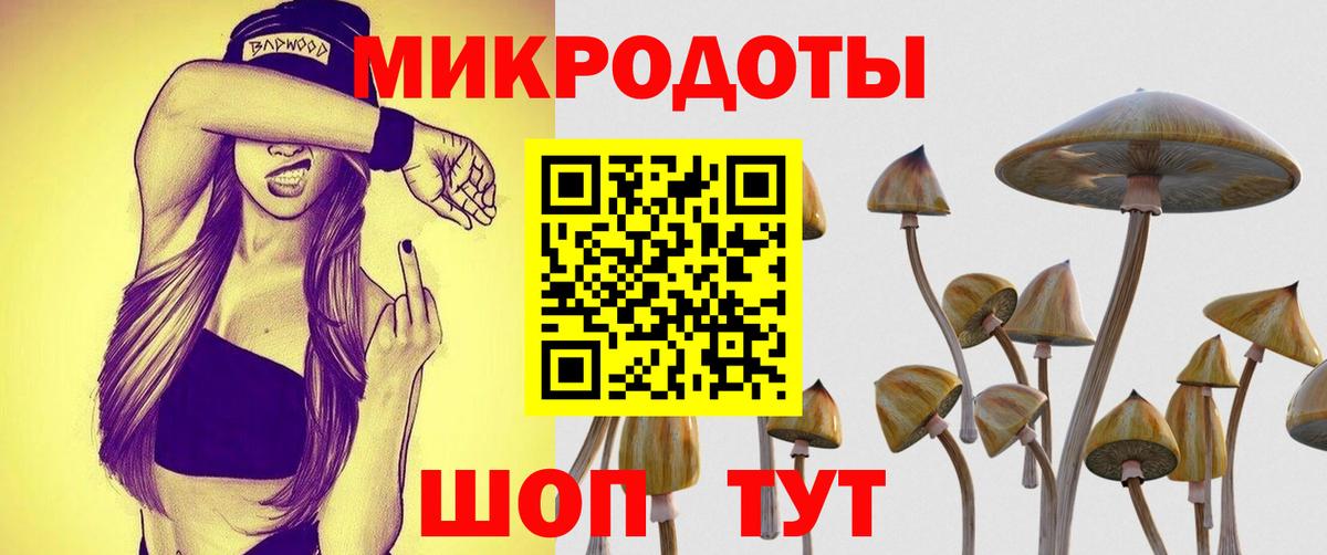 Псилоцибиновые грибы Psilocybine cubensis  Псилоцибиновые грибы прущие грибы  Вход с VPN  Димитровград 